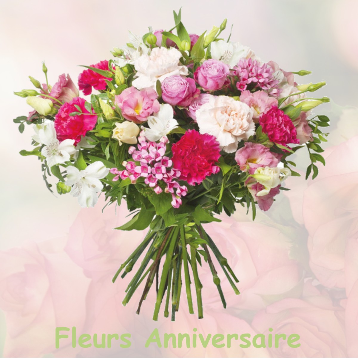 fleurs anniversaire PEGOMAS